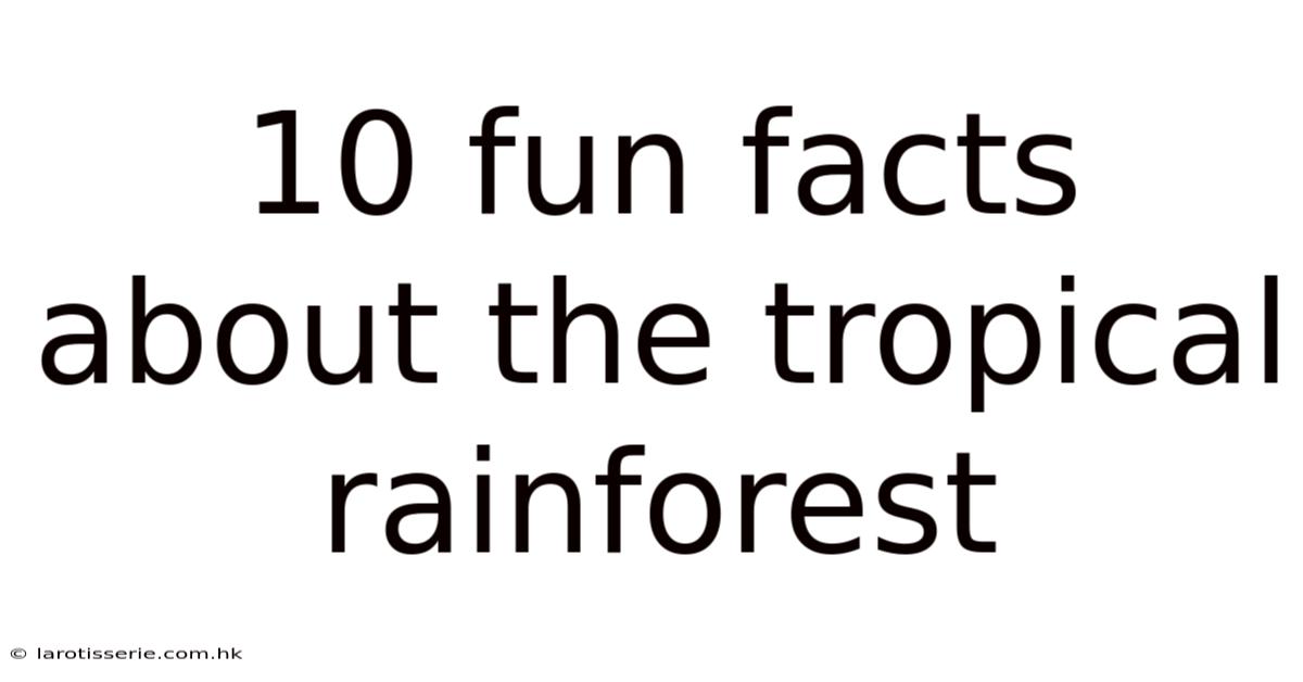 10 Fun Facts About The Tropical Rainforest