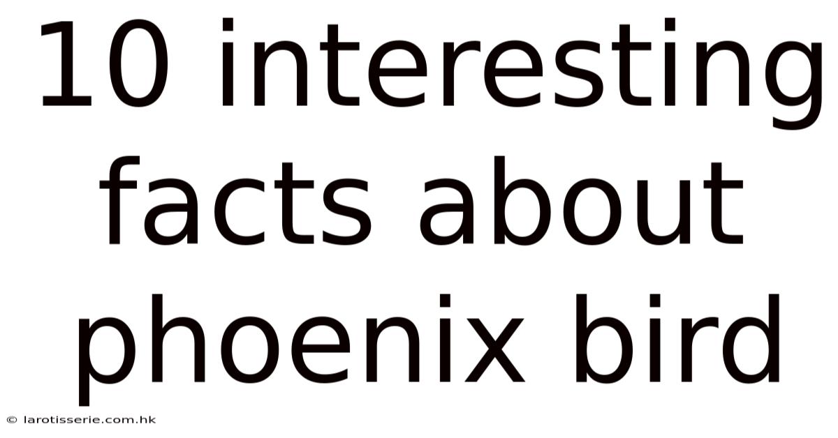 10 Interesting Facts About Phoenix Bird