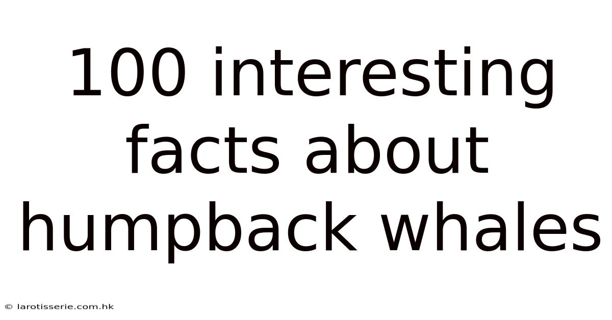 100 Interesting Facts About Humpback Whales