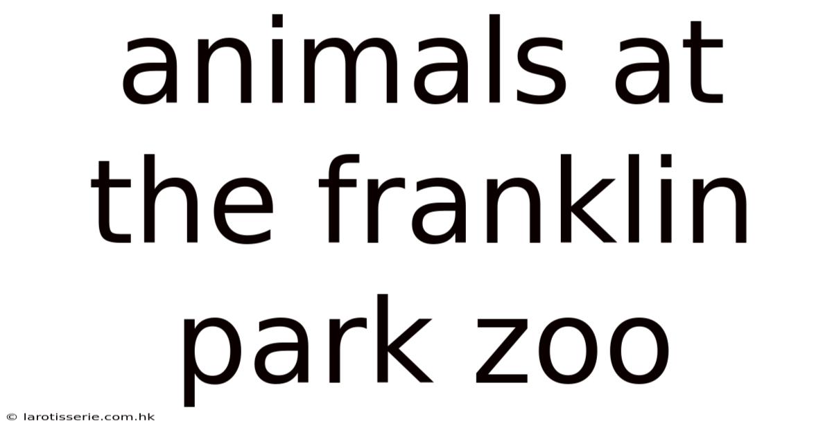 Animals At The Franklin Park Zoo
