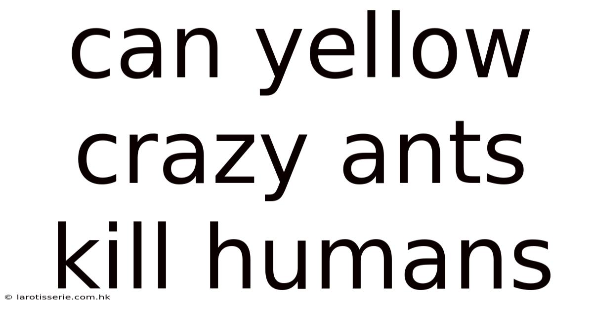 Can Yellow Crazy Ants Kill Humans