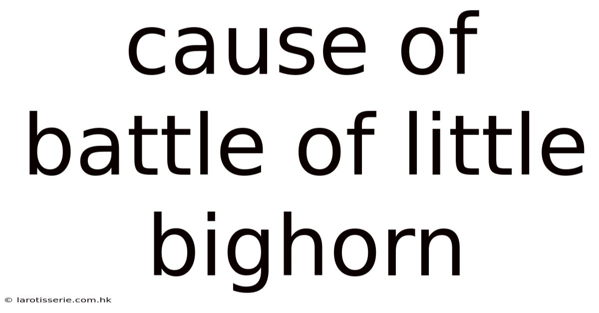 Cause Of Battle Of Little Bighorn
