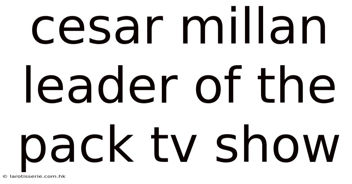 Cesar Millan Leader Of The Pack Tv Show