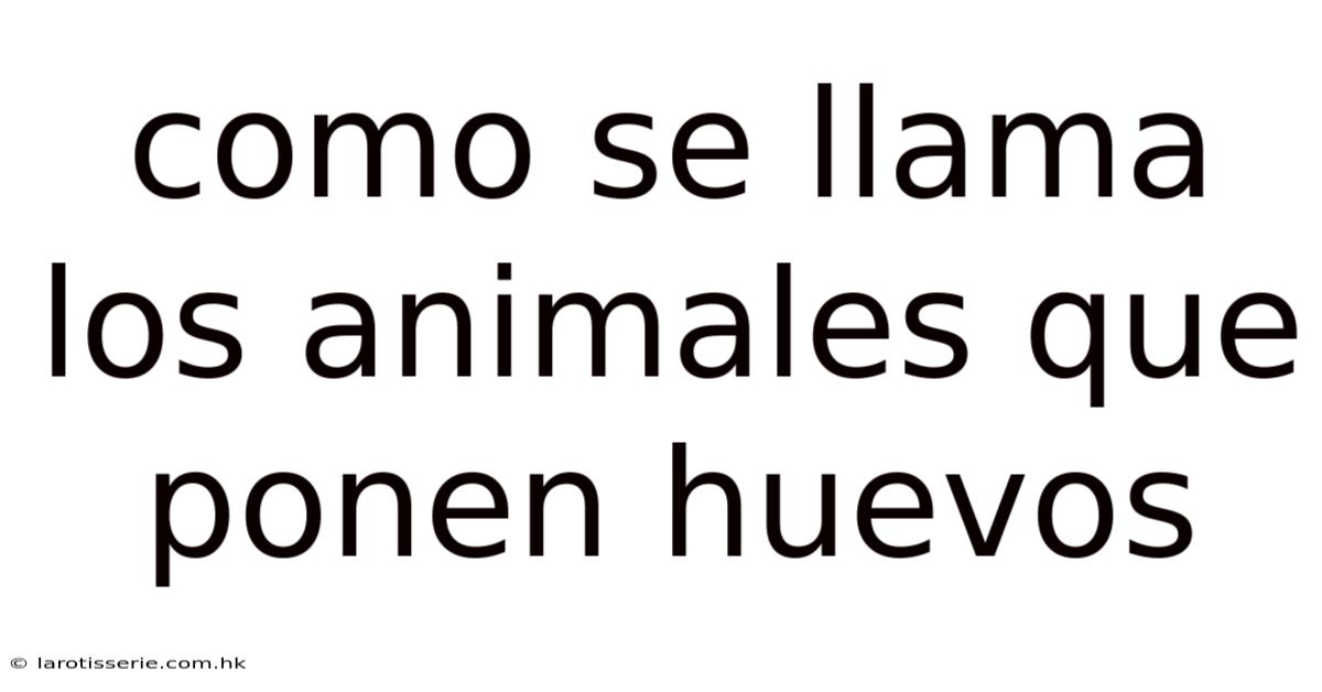 Como Se Llama Los Animales Que Ponen Huevos