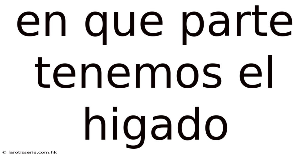 En Que Parte Tenemos El Higado