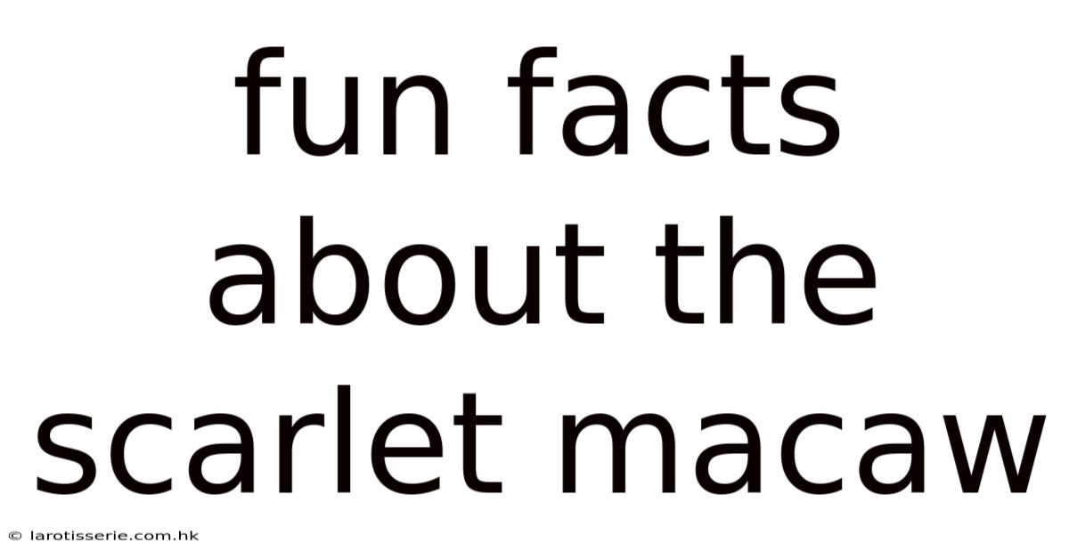 Fun Facts About The Scarlet Macaw