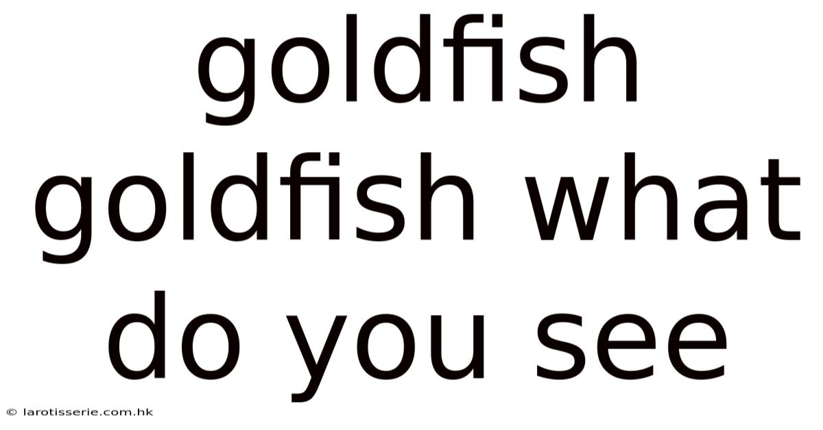 Goldfish Goldfish What Do You See
