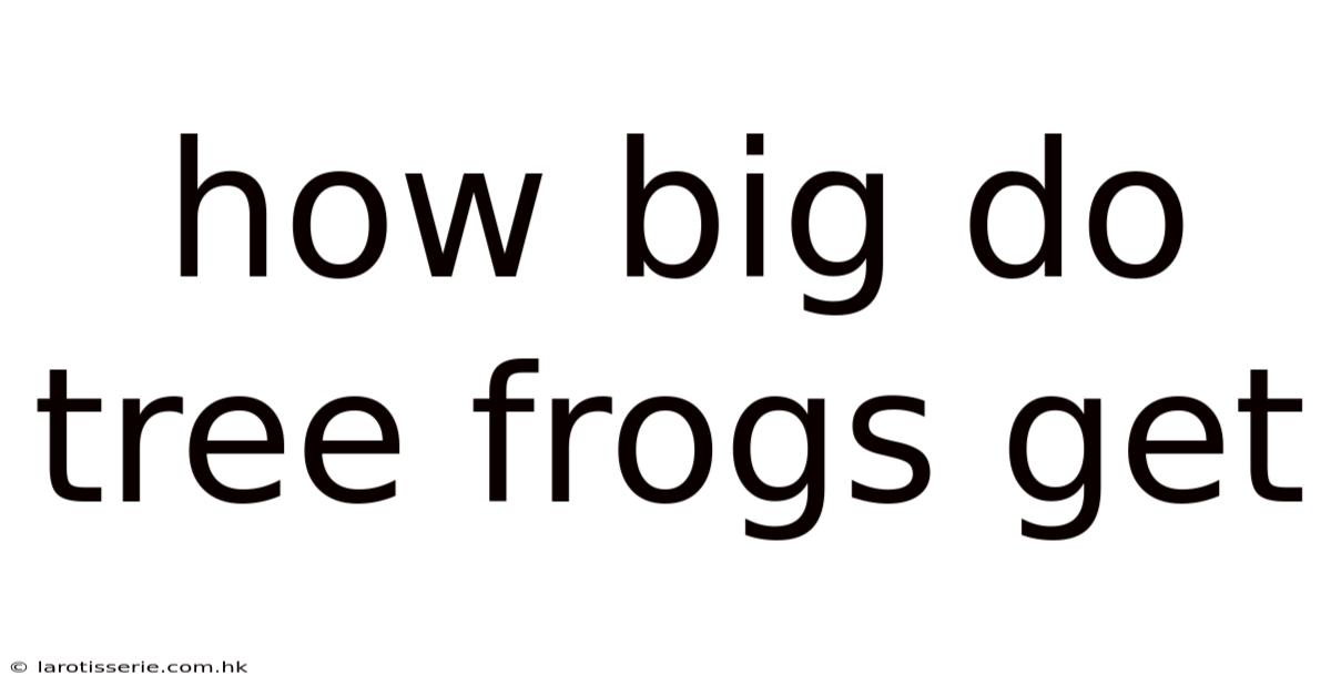 How Big Do Tree Frogs Get