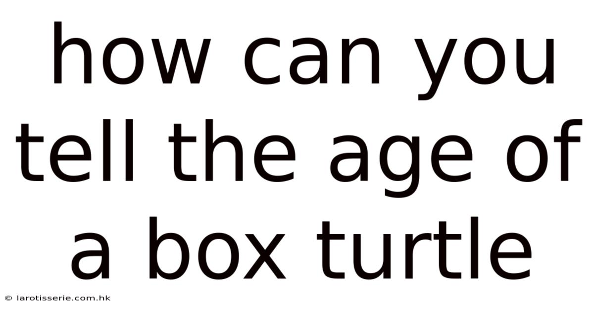 How Can You Tell The Age Of A Box Turtle