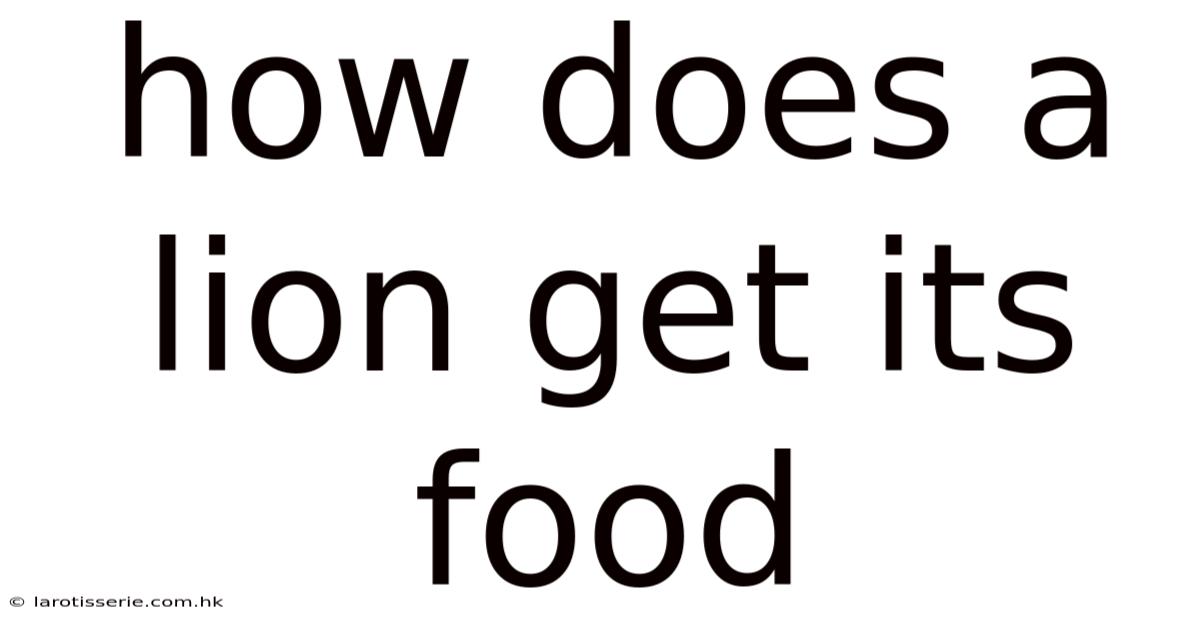 How Does A Lion Get Its Food