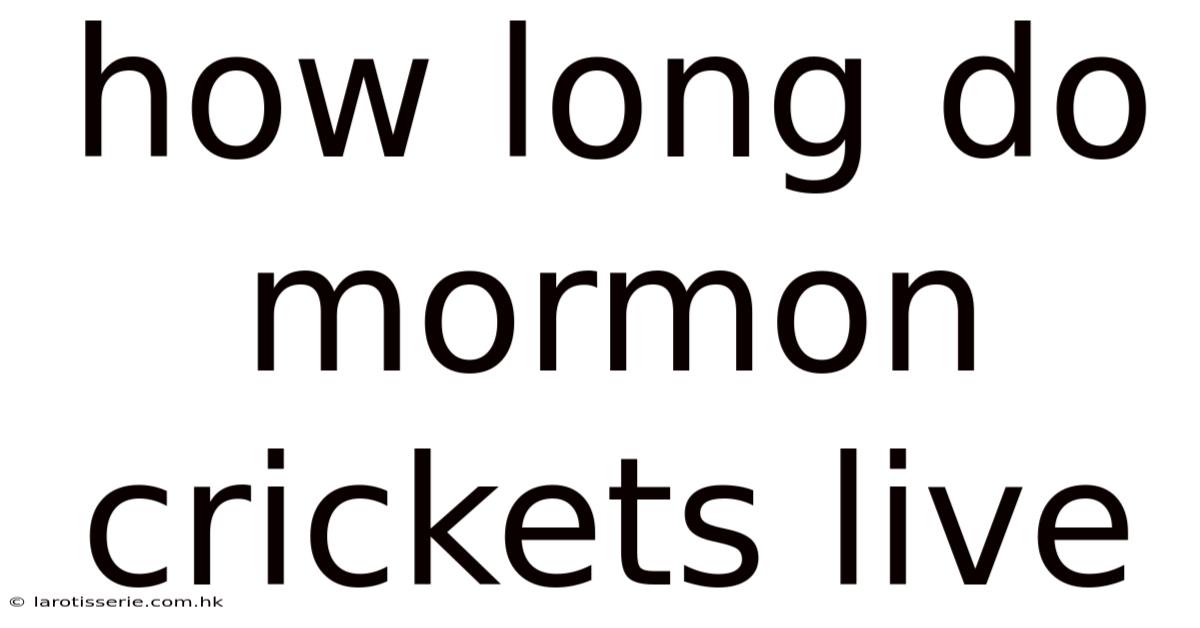 How Long Do Mormon Crickets Live