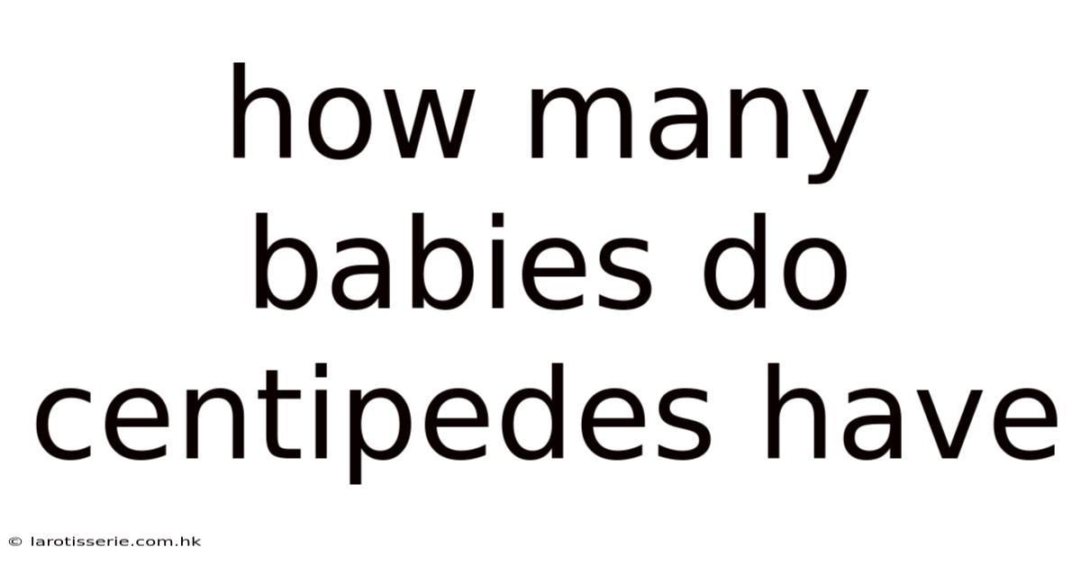 How Many Babies Do Centipedes Have