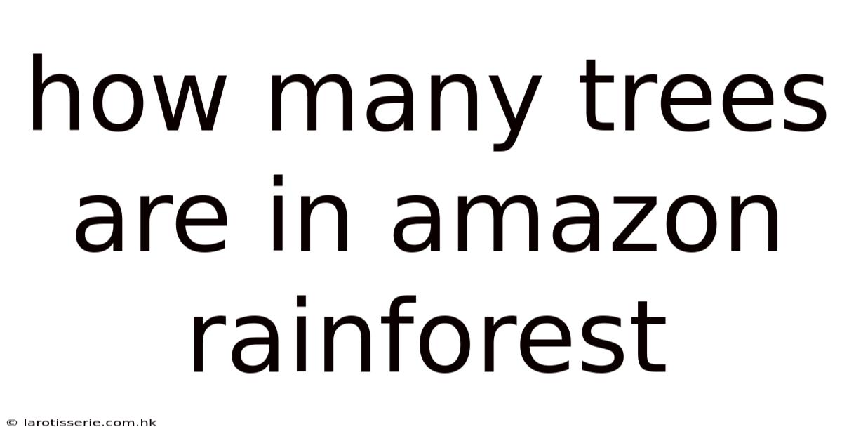 How Many Trees Are In Amazon Rainforest