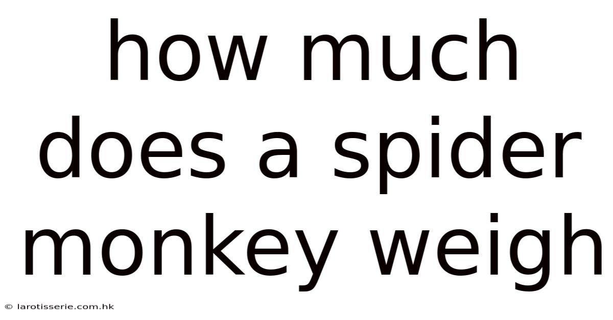 How Much Does A Spider Monkey Weigh