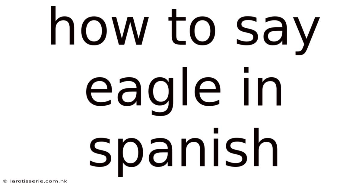 How To Say Eagle In Spanish