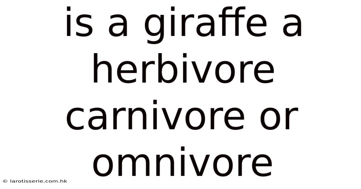Is A Giraffe A Herbivore Carnivore Or Omnivore