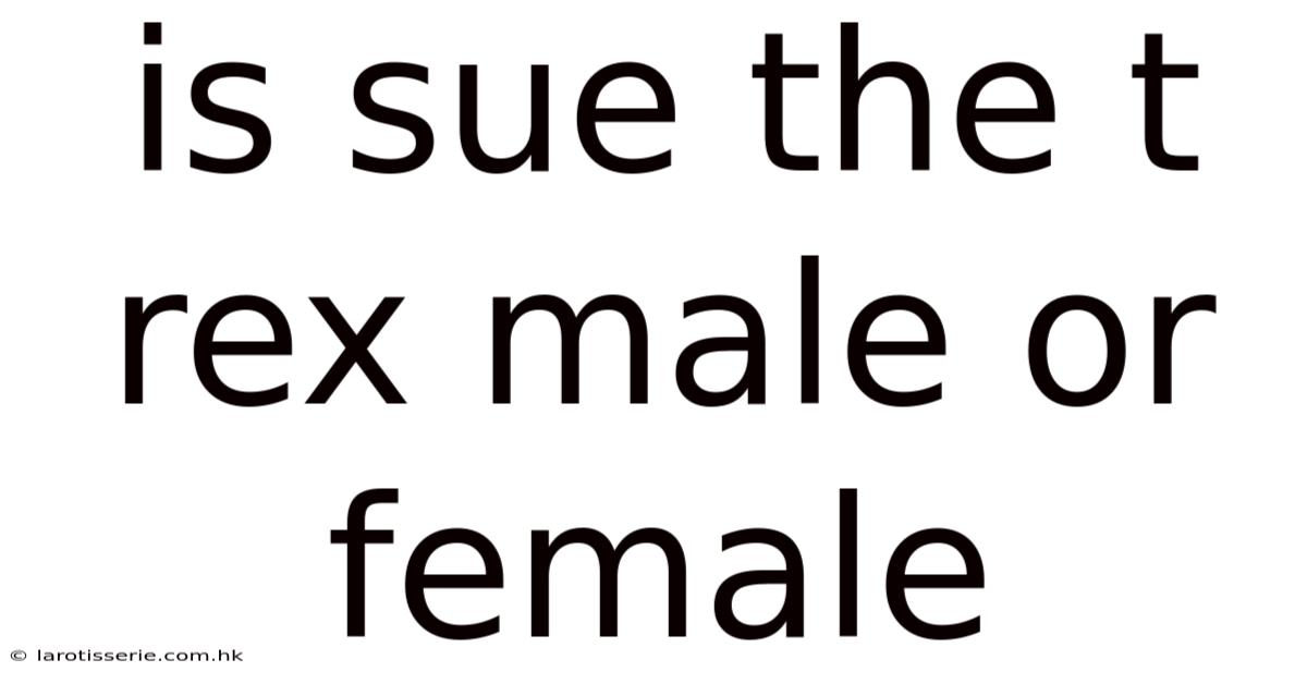 Is Sue The T Rex Male Or Female