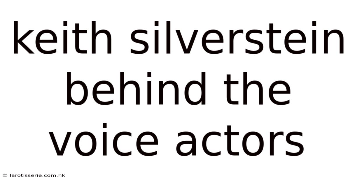Keith Silverstein Behind The Voice Actors