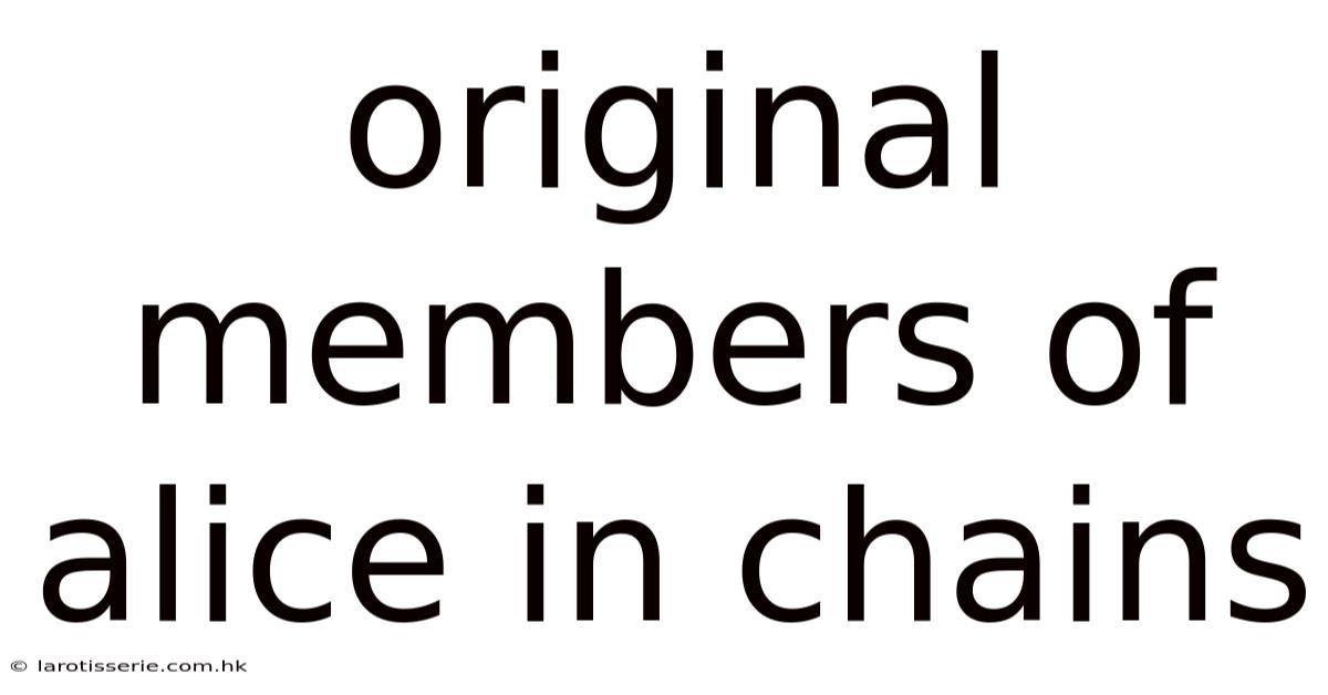 Original Members Of Alice In Chains