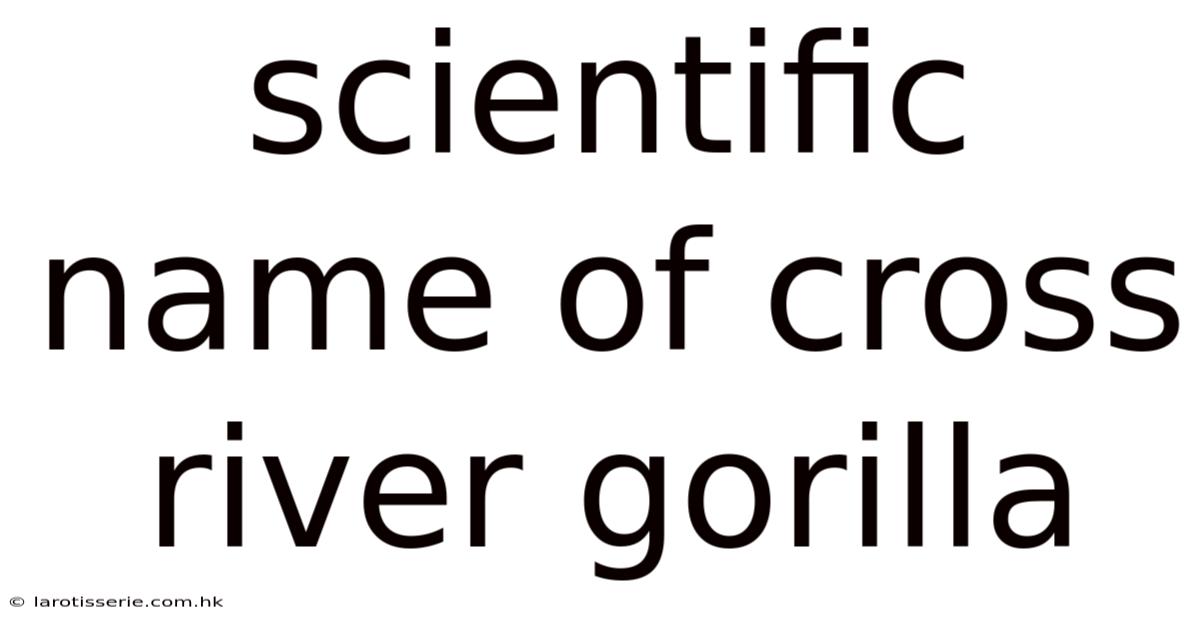 Scientific Name Of Cross River Gorilla