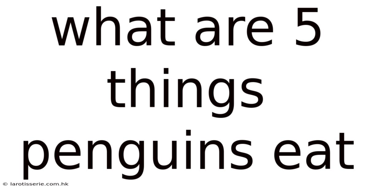 What Are 5 Things Penguins Eat