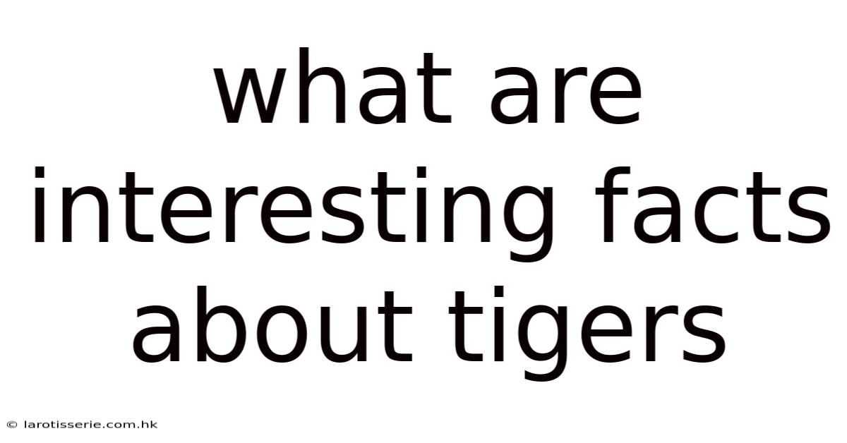 What Are Interesting Facts About Tigers