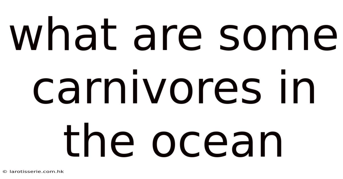 What Are Some Carnivores In The Ocean