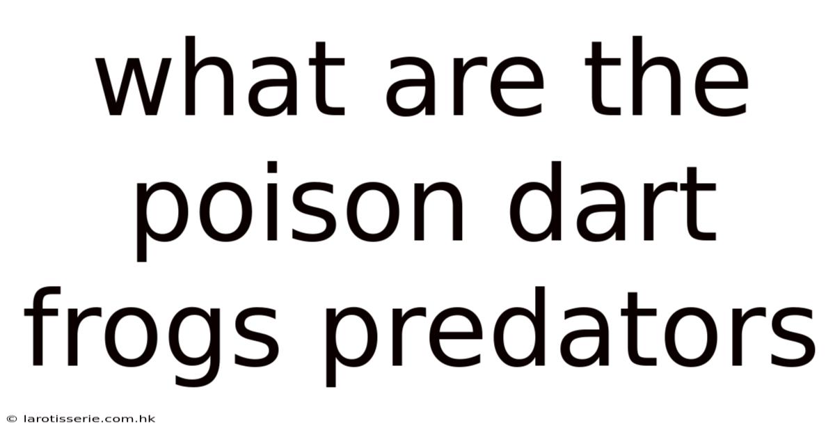 What Are The Poison Dart Frogs Predators