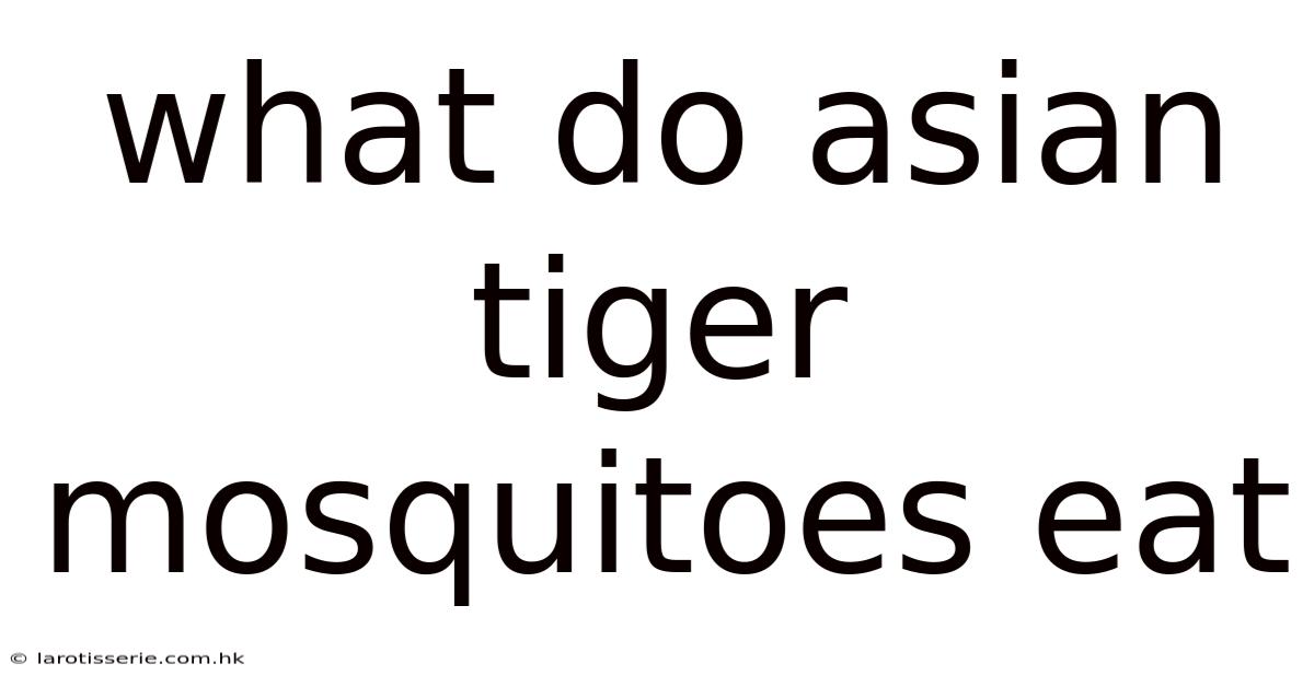 What Do Asian Tiger Mosquitoes Eat