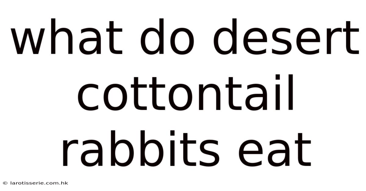 What Do Desert Cottontail Rabbits Eat