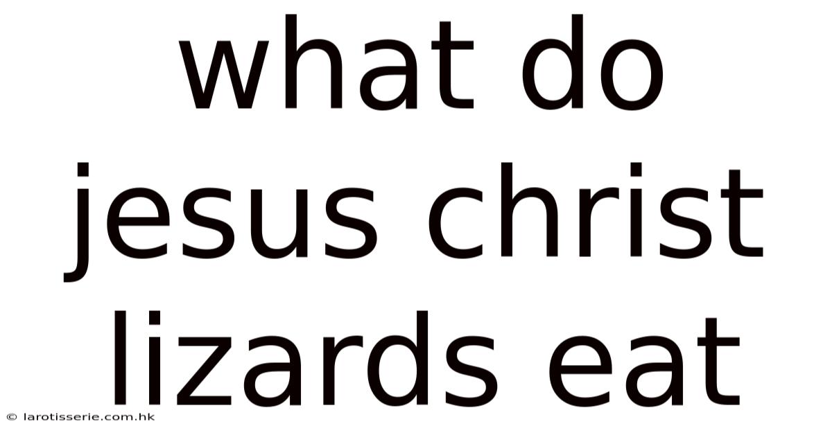 What Do Jesus Christ Lizards Eat