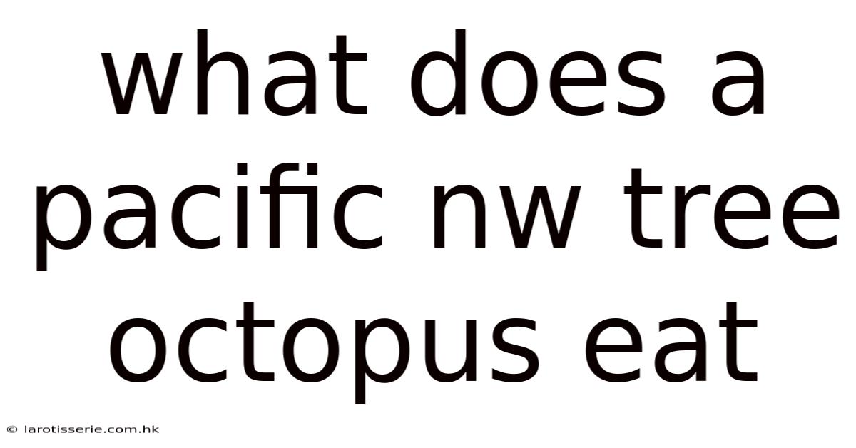 What Does A Pacific Nw Tree Octopus Eat