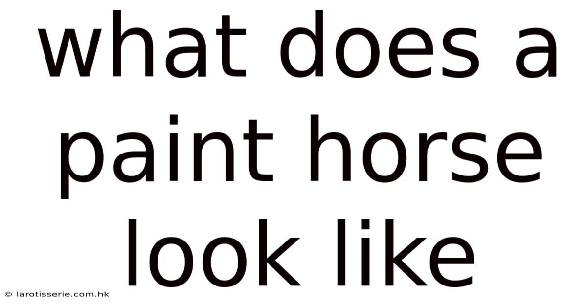 What Does A Paint Horse Look Like