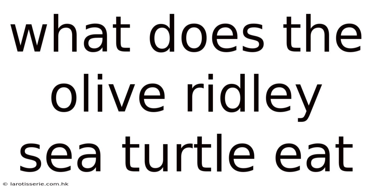 What Does The Olive Ridley Sea Turtle Eat