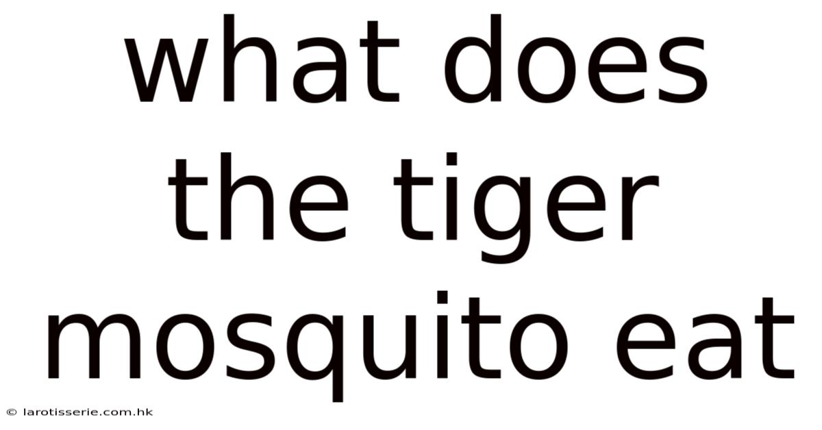 What Does The Tiger Mosquito Eat