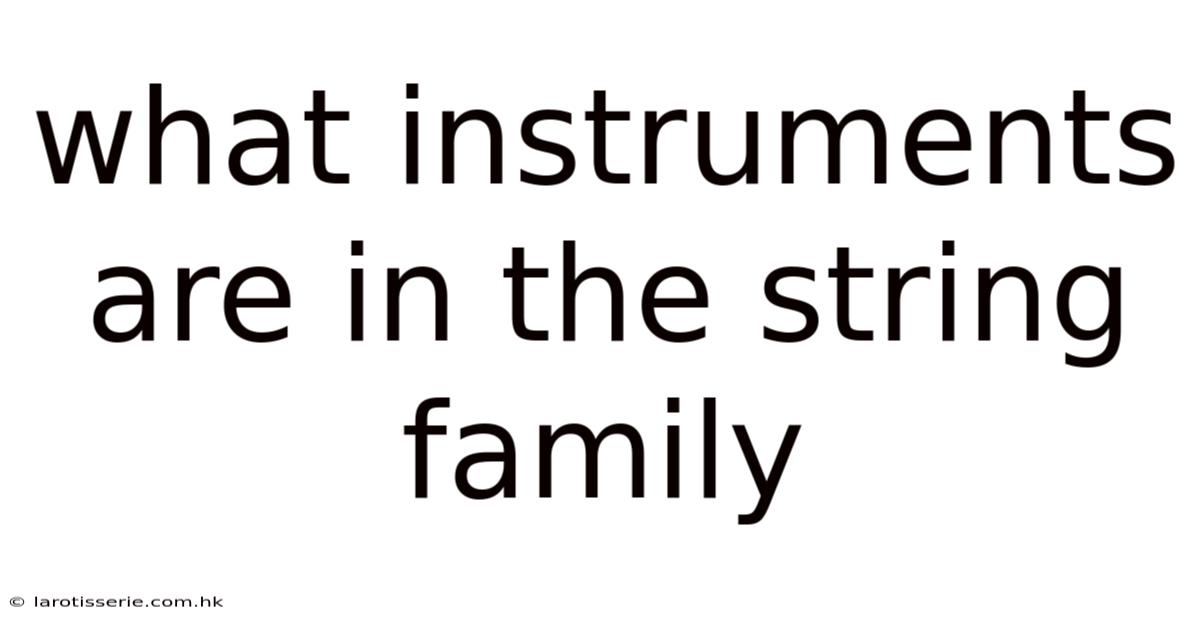 What Instruments Are In The String Family