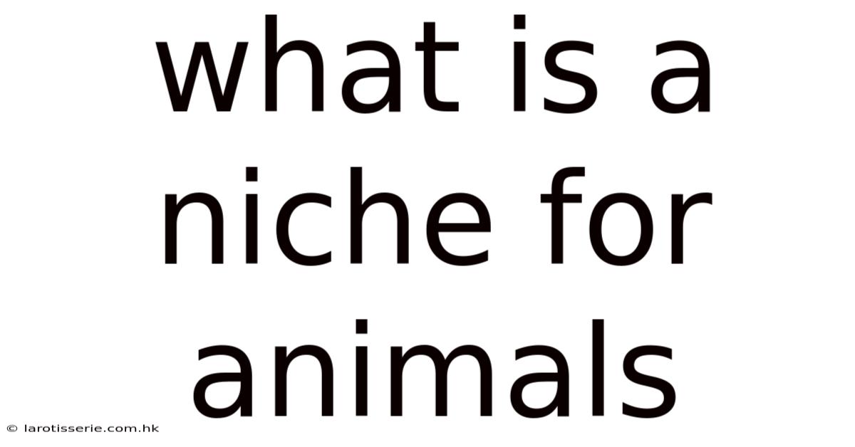 What Is A Niche For Animals