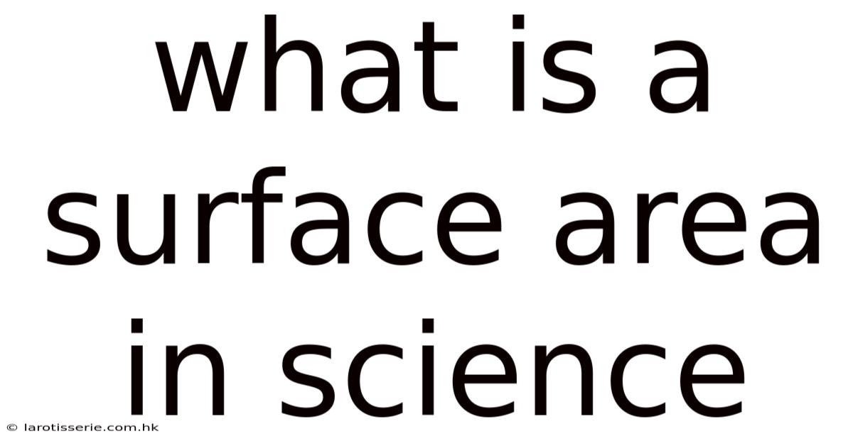 What Is A Surface Area In Science