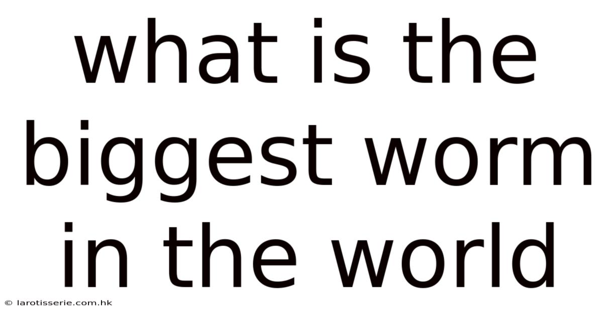What Is The Biggest Worm In The World