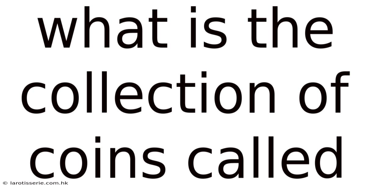 What Is The Collection Of Coins Called