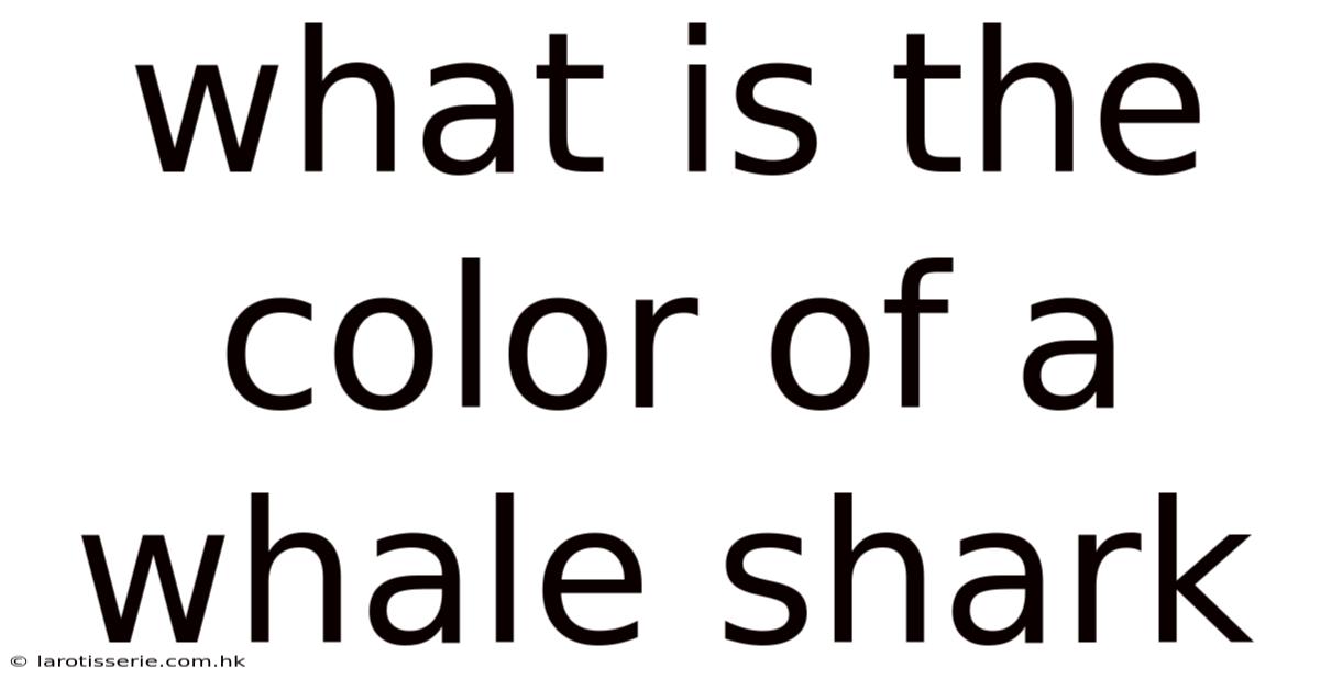 What Is The Color Of A Whale Shark