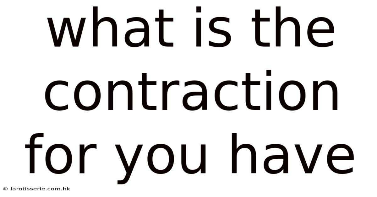 What Is The Contraction For You Have