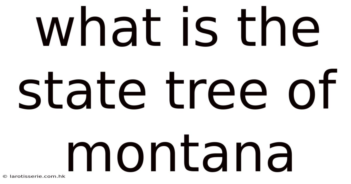 What Is The State Tree Of Montana