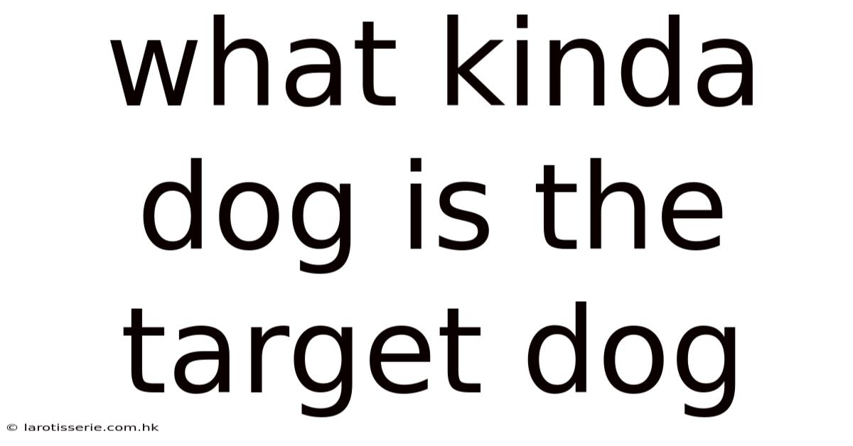 What Kinda Dog Is The Target Dog
