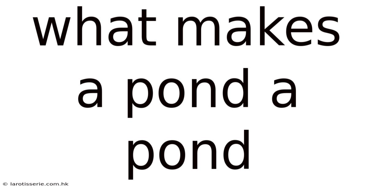What Makes A Pond A Pond