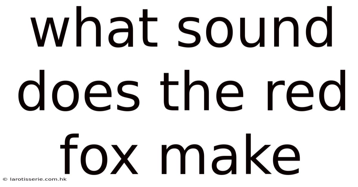 What Sound Does The Red Fox Make