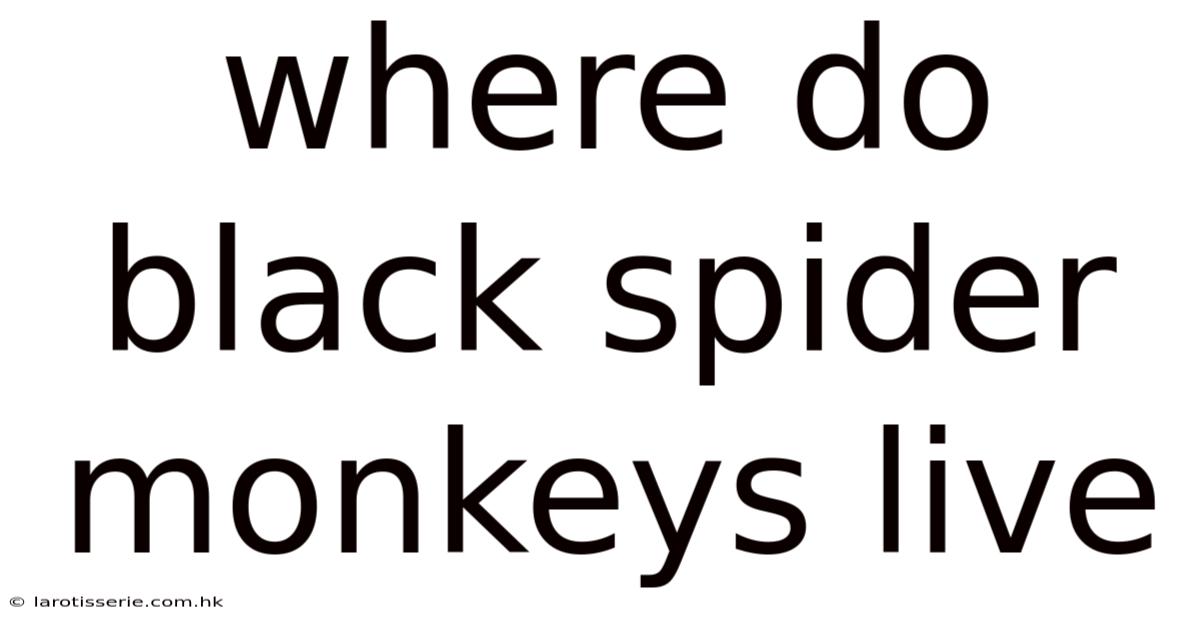 Where Do Black Spider Monkeys Live