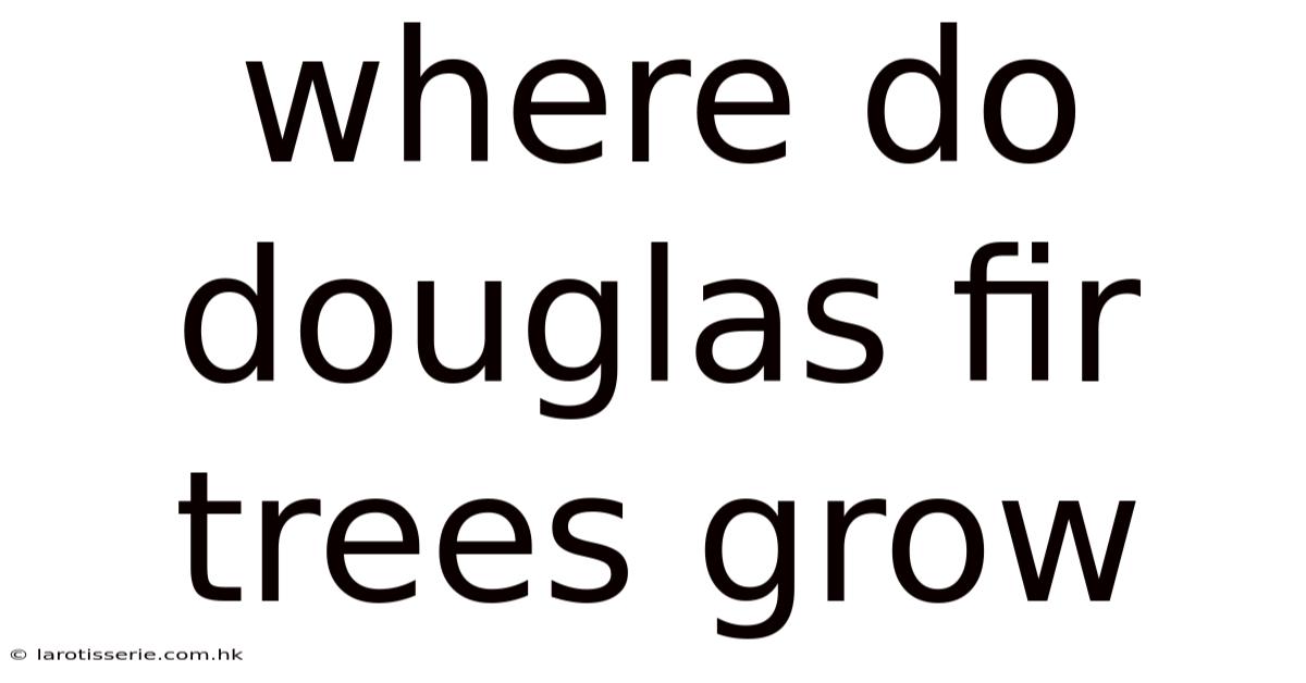 Where Do Douglas Fir Trees Grow