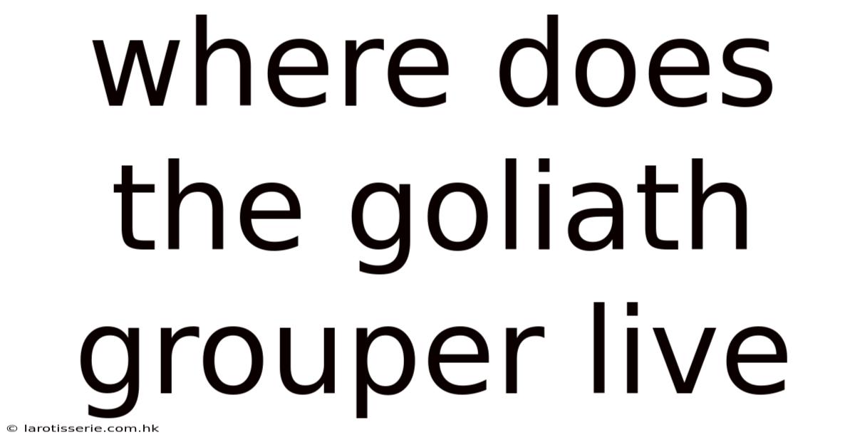 Where Does The Goliath Grouper Live