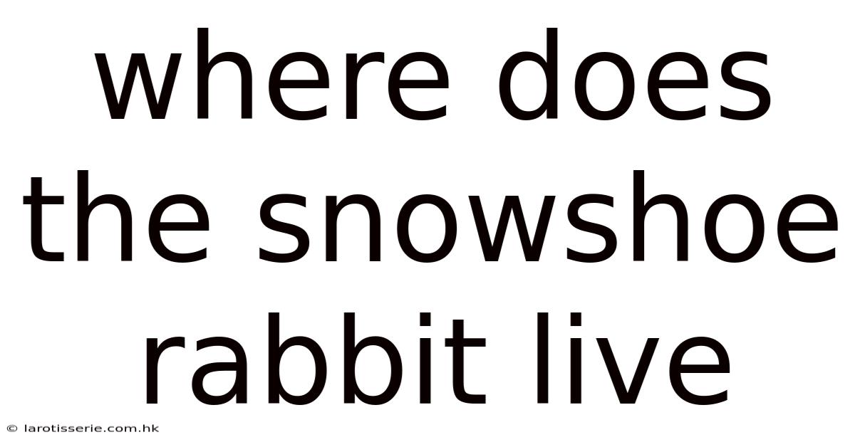 Where Does The Snowshoe Rabbit Live